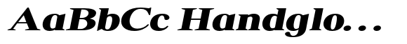 Shequan Soft Shequan Black Expanded Italic image