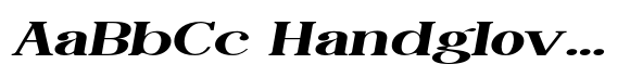 Caster  Serif Extra Expanded Slant image