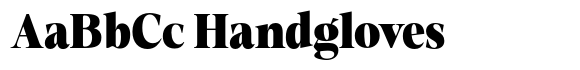 Fitgad Black Semi Condensed image