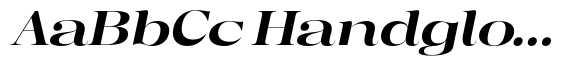 Regaris Plain Extra Bold Expanded Italic image