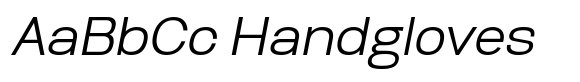 Biarty Sans Extended Light Oblique image