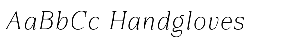 Animetry Thin Italic image