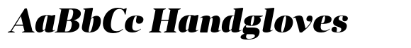 Anglecia Pro Display Black Italic image