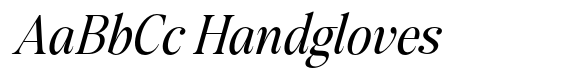 The Kayla Editorial Italic Narrow image
