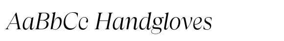 Apparel Regular Italic image