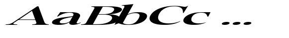 Pichellsio Bold Italic Ultra Expanded image