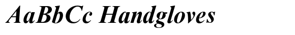 Times New Roman Pro Bold Italic image
