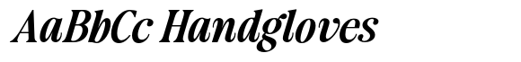 Authors Special Expanded Italic Contrast image