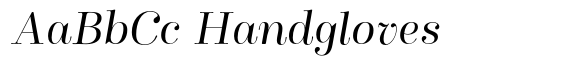 Winslow Title Light Italic image