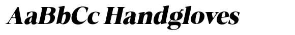 Fitgad Soft Extra Bold Italic image