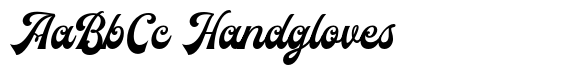 Rawnster Font Duo Script image
