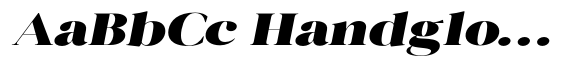 Novalux Black Extra Exp Italic image