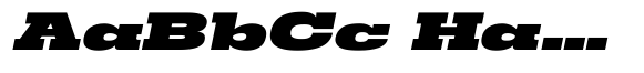Arkari Black UltExp Italic image