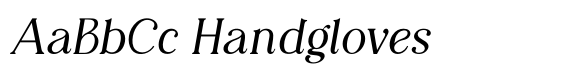 Editorial Revival Book Italic image