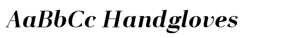 WSK Bold Italic image