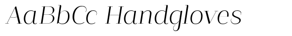 Guadalupe Essential Italic image