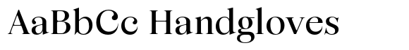 Business Serif Display Bold image
