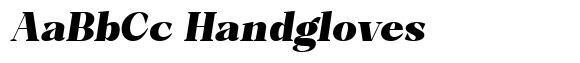 Bleshil Black Condensed Slant image
