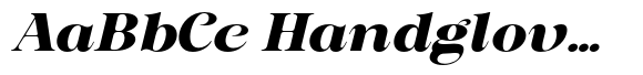 Frontend Black Extra Expanded Italic image