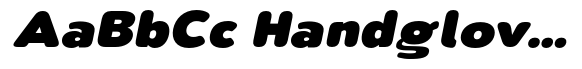 Nsai Pro Rounded Wide Extra Black Italic image