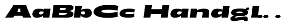 Annuario Expanded Black Italic image
