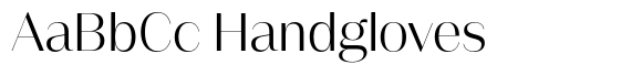 Rigor Display Pro Regular image