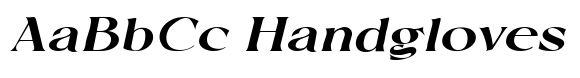 Raiselle Extra Bold Expanded Italic image