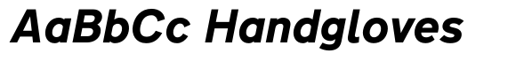Transport New Heavy Italic image