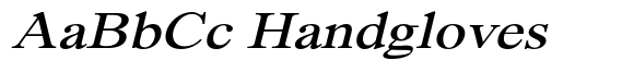 Segikan Expanded Italic image