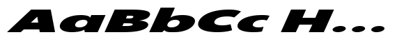 Koldnesy Soft Black Italic Extra Expanded image