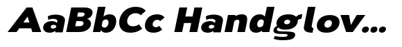 Nsai Pro Wide Extra Bold Italic image