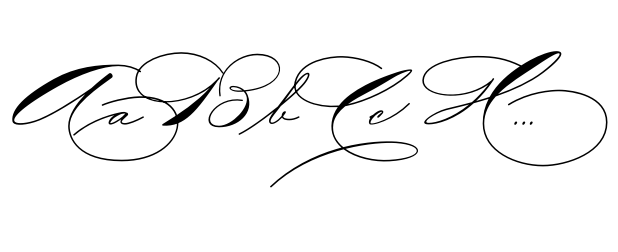 The Wedding Script Bold image