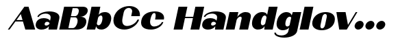 Qorvyn Extra Bold Extra Exp Italic image