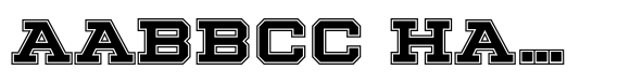 Winner College XWide Bold image