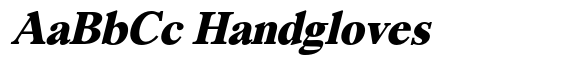 Segikan Black Italic image