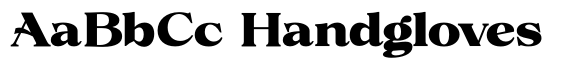 Volkys Serif Volkys Contrast ExtraBold SemiExpanded image