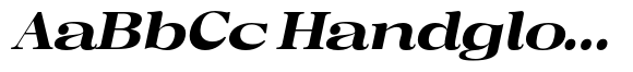 Regaris Plain Black Expanded High Italic image