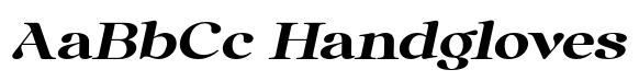 Anglica Serif Black Ultra Expa Slanted image