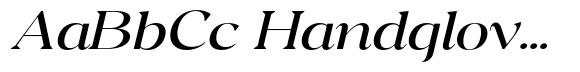 Andrise Expanded Italic image