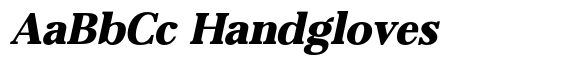 Dravion Serif Black Slanted image