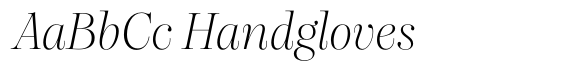 Dupioni Thin Italic image