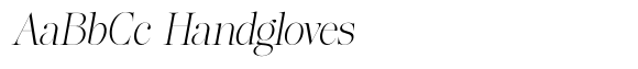 Lifestyle Icons Thin Slanted image