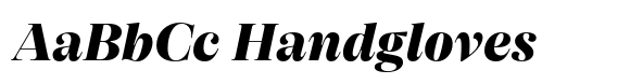 SFT Schrifted Serif Display ExtraBold Italic image