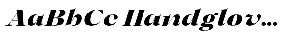 Ater Display Black Italic image