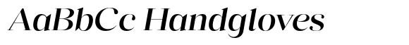 Reicha Slant Expanded Alt image