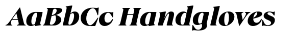 Fansan Bold Italic image