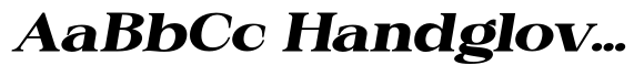 Audie Serif Audie Cntr Expanded Italic image