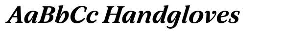 BT Circuit Bold Italic 17 image