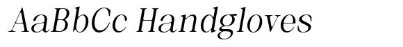 Selnora Soft Italic image